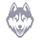 UConn logo
