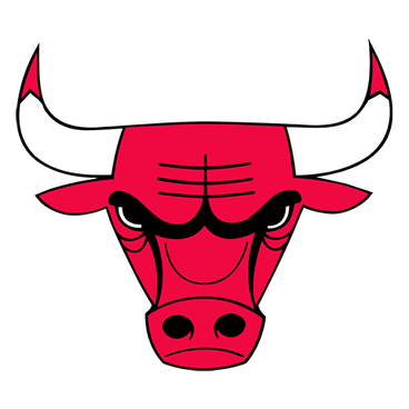 Chicago Bulls logo