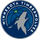 Minnesota logo
