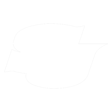 Southern Lady Jaguars logo