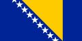 Bosnia-Herzegovina logo