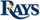 Tampa Bay logo