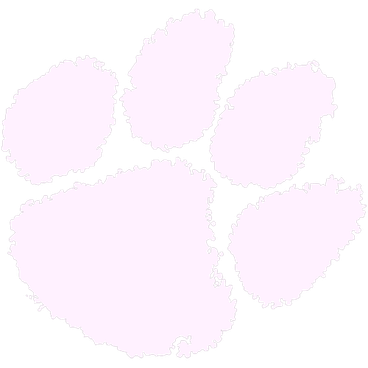 Clemson Lady Tigers logo
