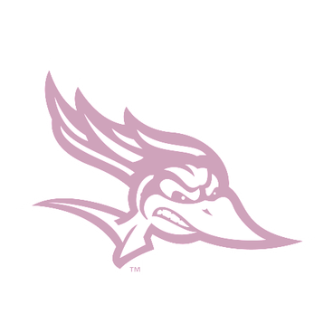 Cal State Bakersfield Roadrunners logo