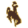 Wyoming logo