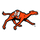Campbell logo