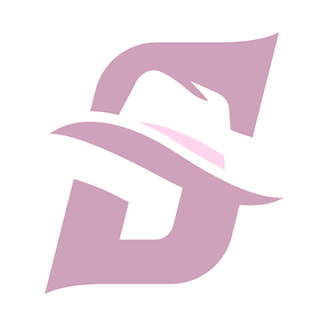 Stetson Hatters logo