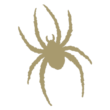 Richmond Spiders logo