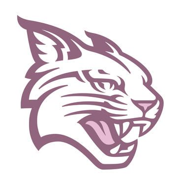 Davidson Wildcats logo