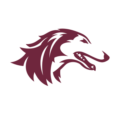 S Illinois logo