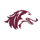 Southern Illinois logo
