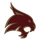 Texas State logo