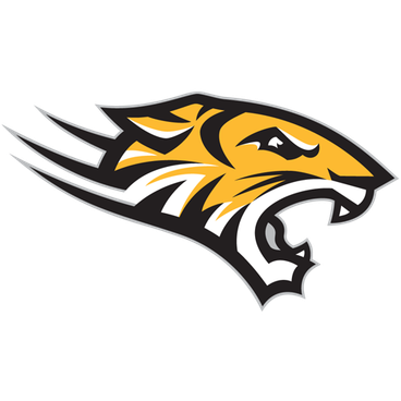 Towson logo