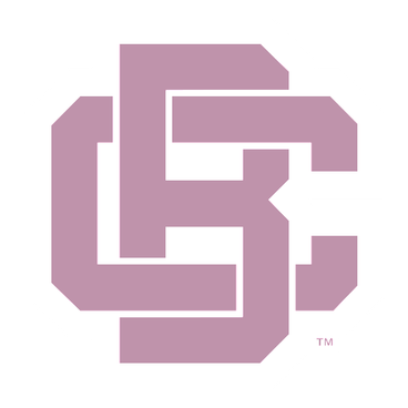 Bethune-Cookman Wildcats logo