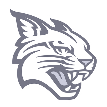 Davidson Wildcats logo