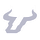 South Florida logo