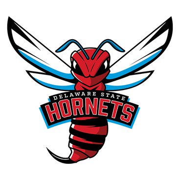 Delaware St logo