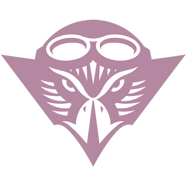 Tennessee-Martin Skyhawks logo