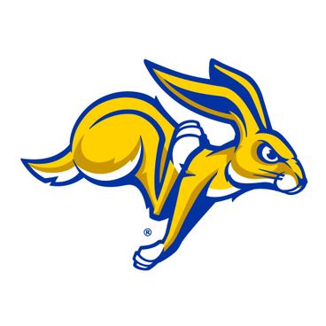 S Dakota St logo