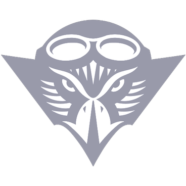 Tennessee-Martin Skyhawks logo