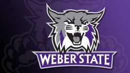Weber State Wildcats logo