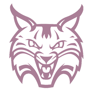 Quinnipiac Bobcats logo