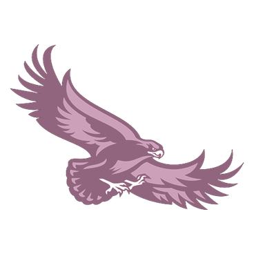 Saint Joseph`s Hawks logo