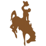 Wyoming Cowboys logo